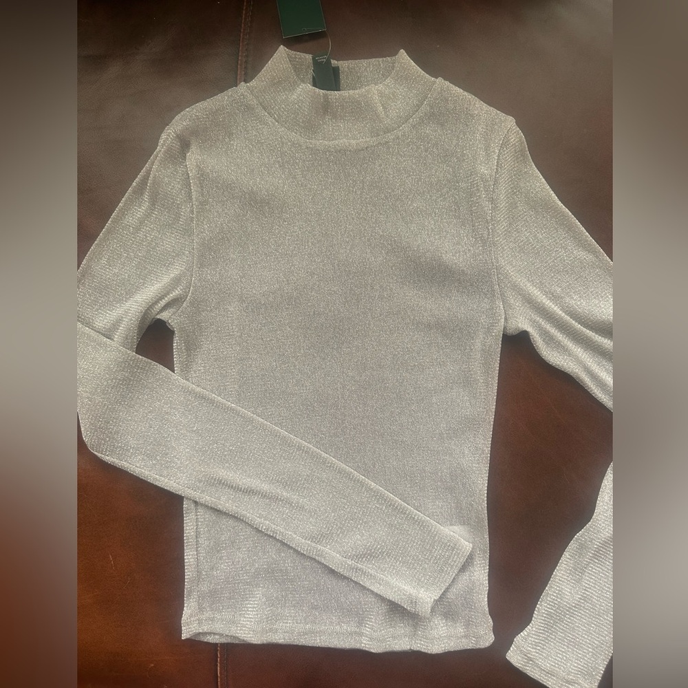 Silver Long Sleeve sheer Top.  Xsmall wild fable brand.  New with tags